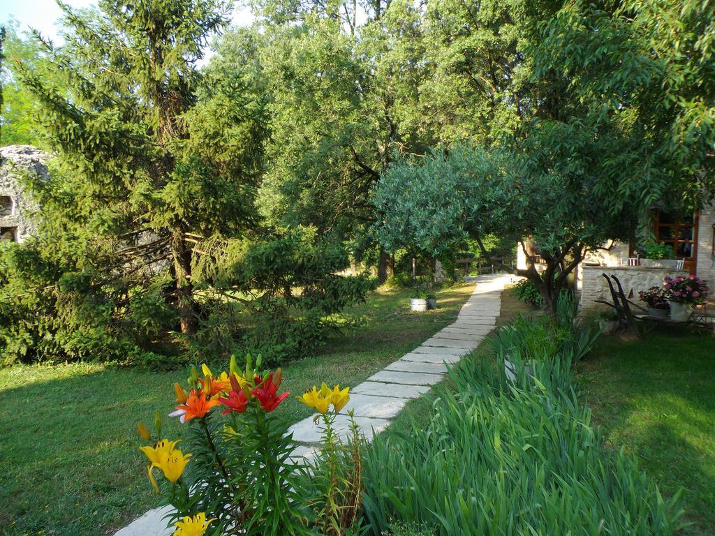 La Magnanerie d'Hôtes ,le jardin secret Sauve Extérieur photo